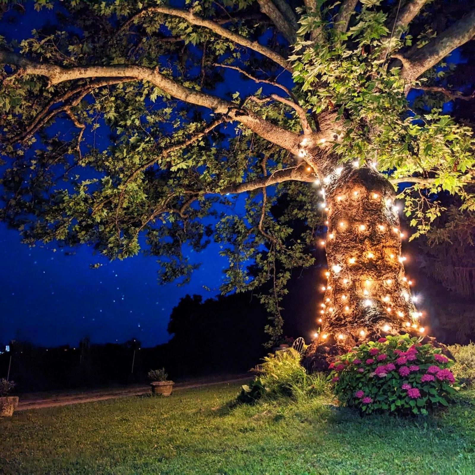 Castel San Mauro Hotel โกริเซีย ภายนอก รูปภาพ